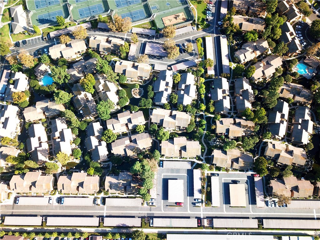 387 Orange Blossom 131