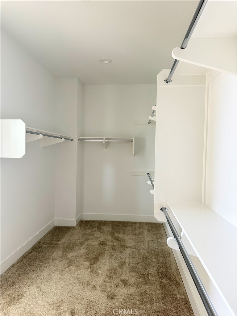 101 Evergreen Way
