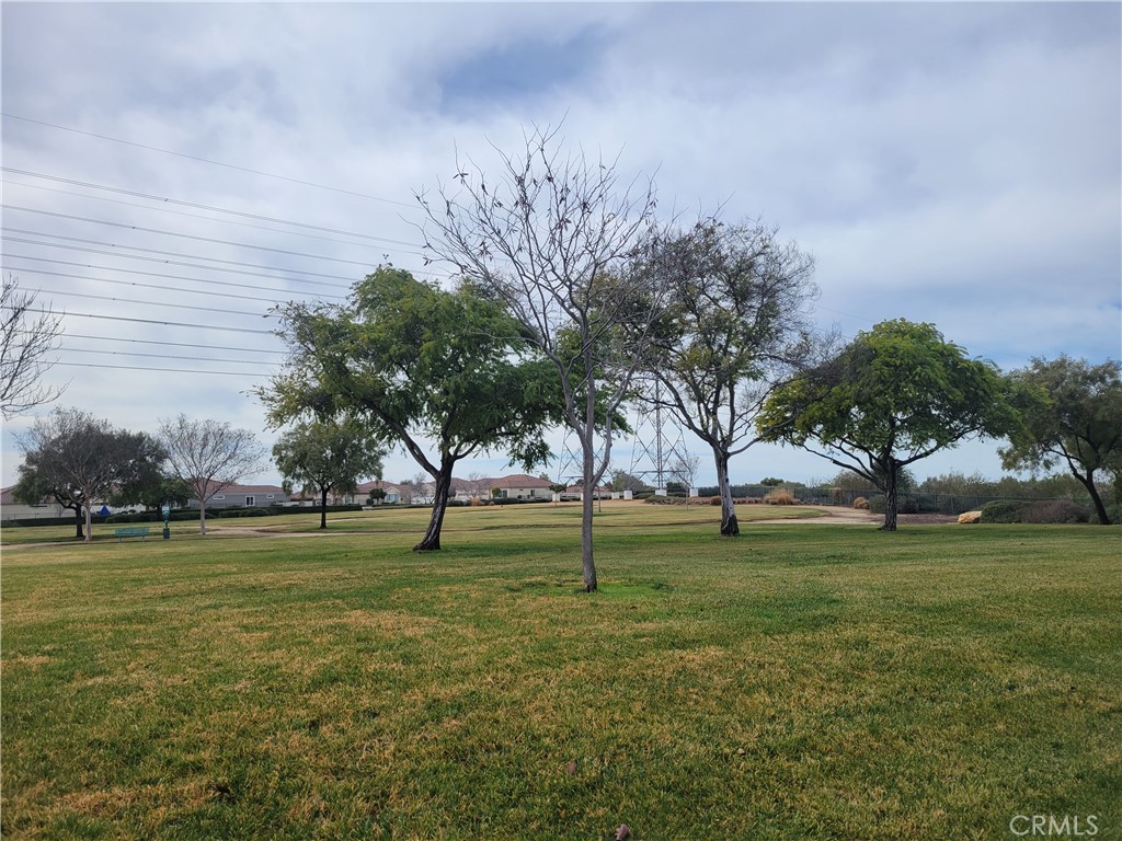 1164 Blackbrush Road