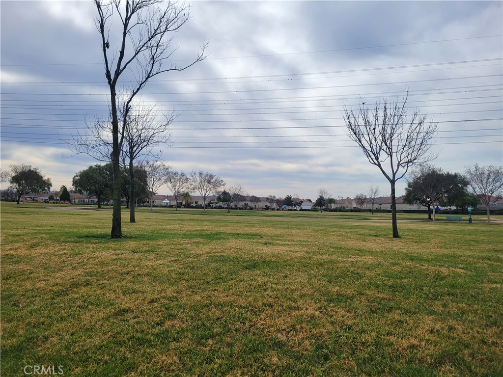 1164 Blackbrush Road