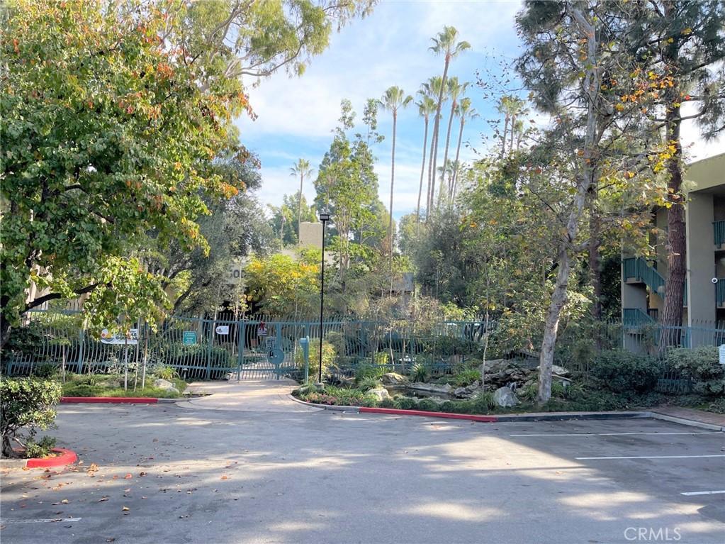 576 N Bellflower Boulevard 101