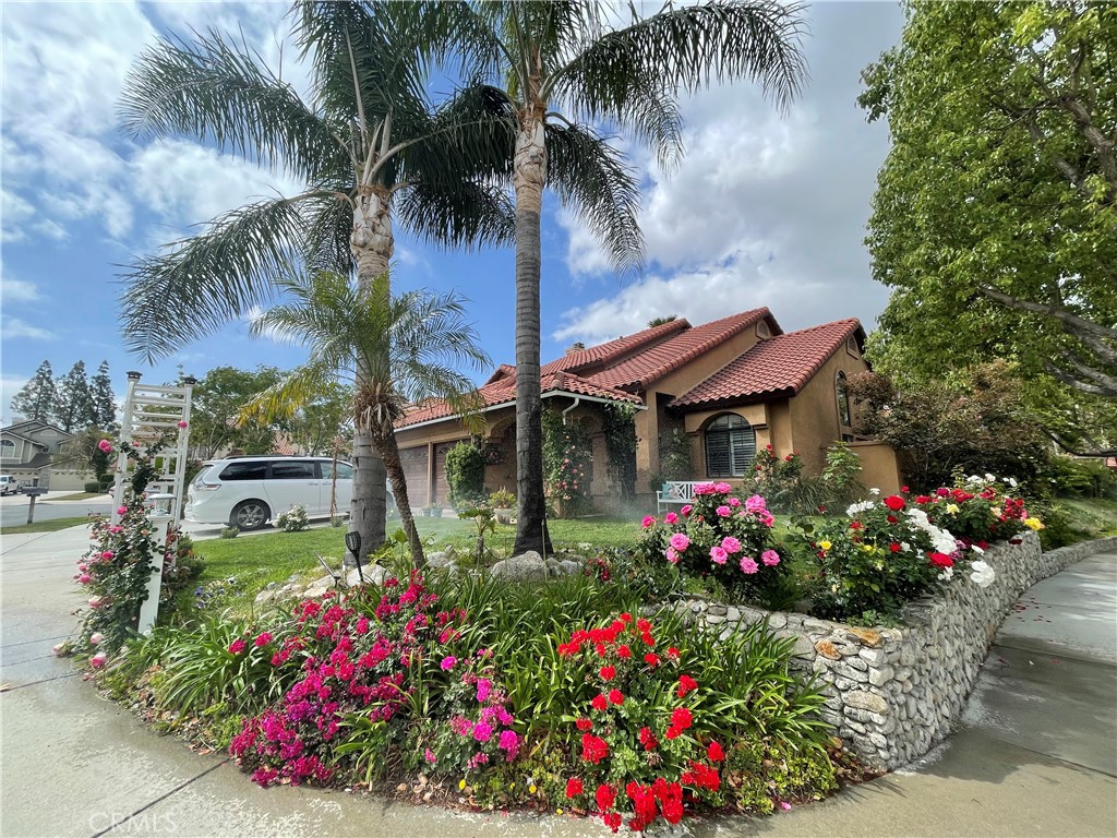 11259 Oak Brook Court