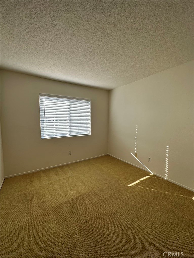 14117 Evening View Dr.