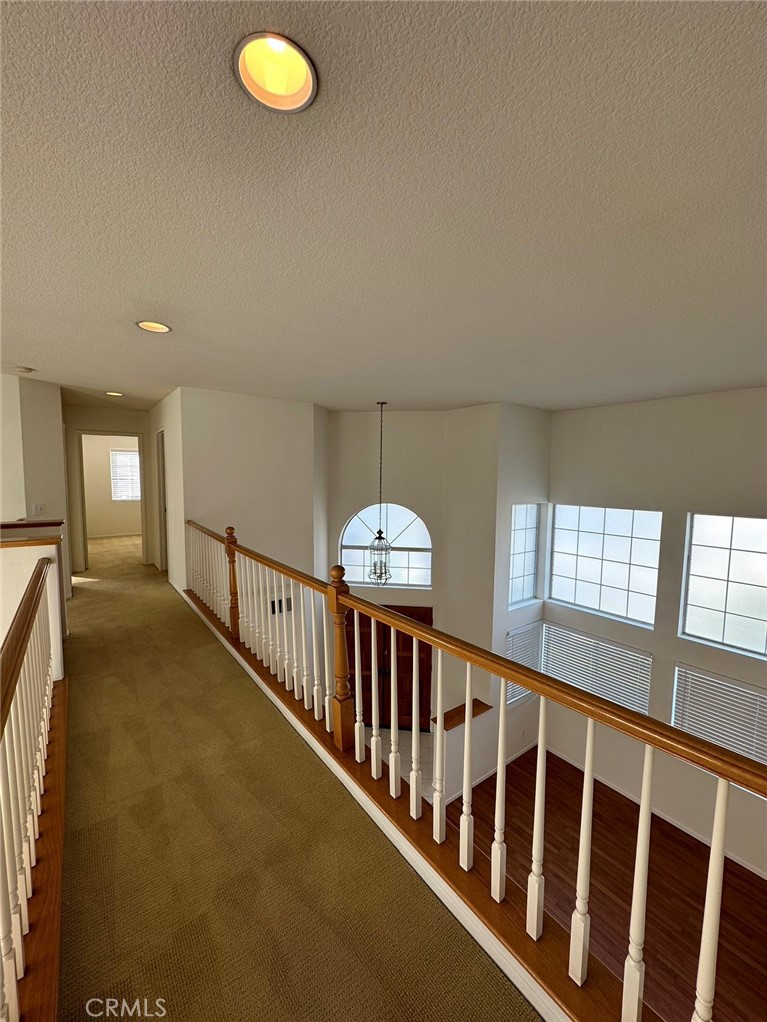 14117 Evening View Dr.