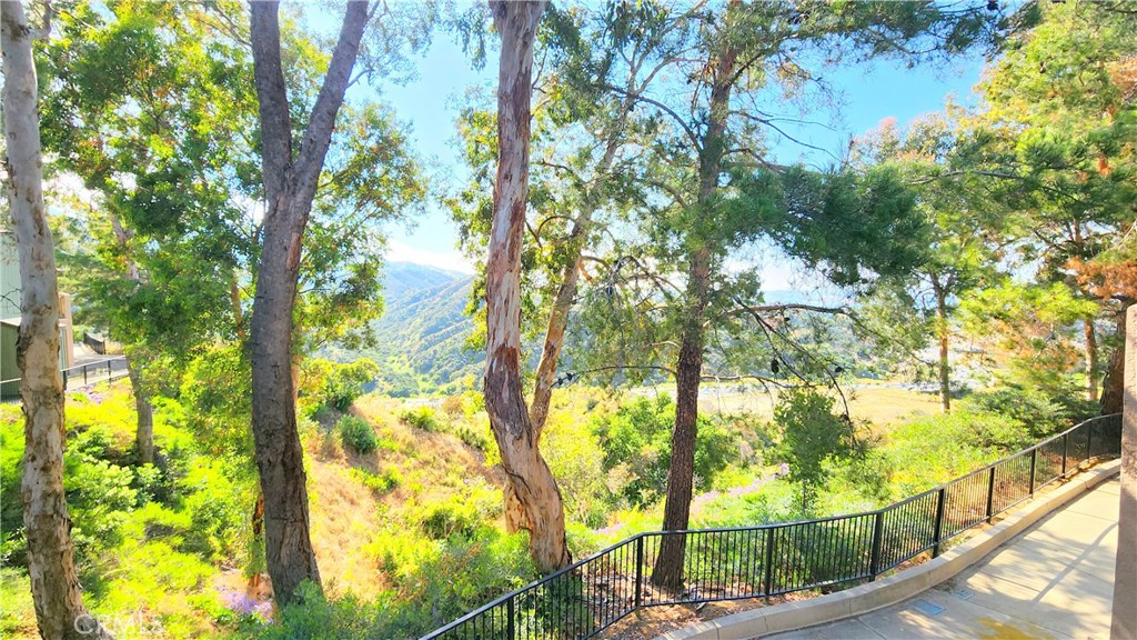 2564 Avenida Del P202