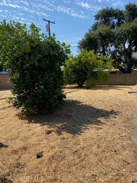 953 W El Morado Court