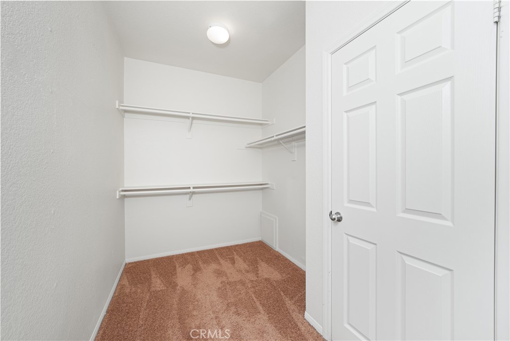 12195 Blue Spruce Drive