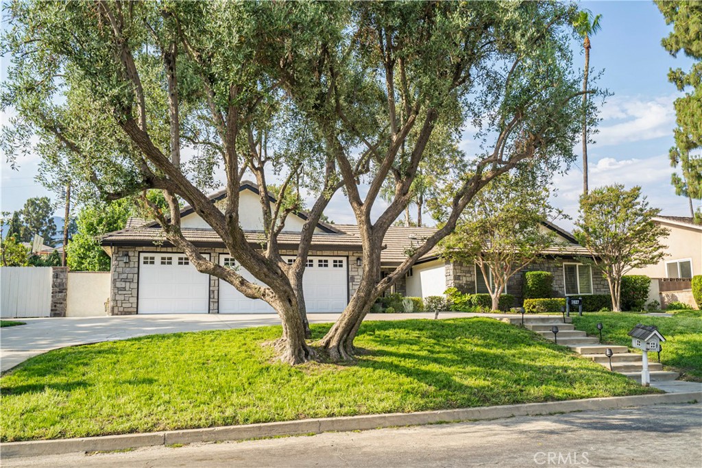 1027 Moab Drive