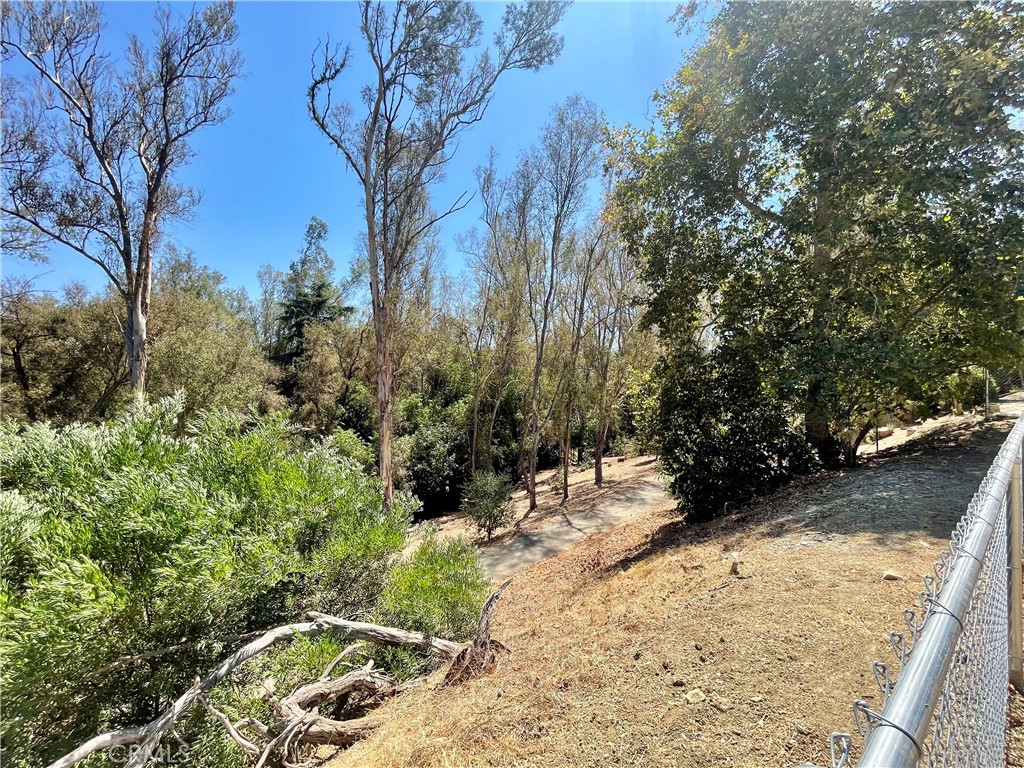 3565 Bayberry Drive