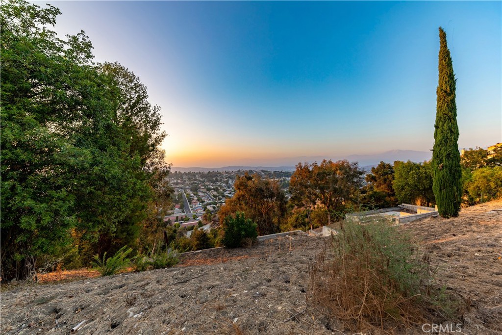 22939 Ridge Line Road