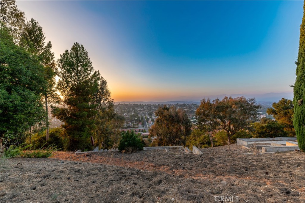 22939 Ridge Line Road