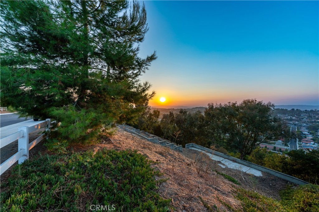 22939 Ridge Line Road