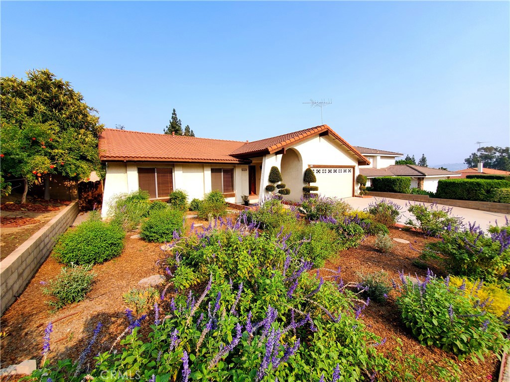 448 Avenida Presidio