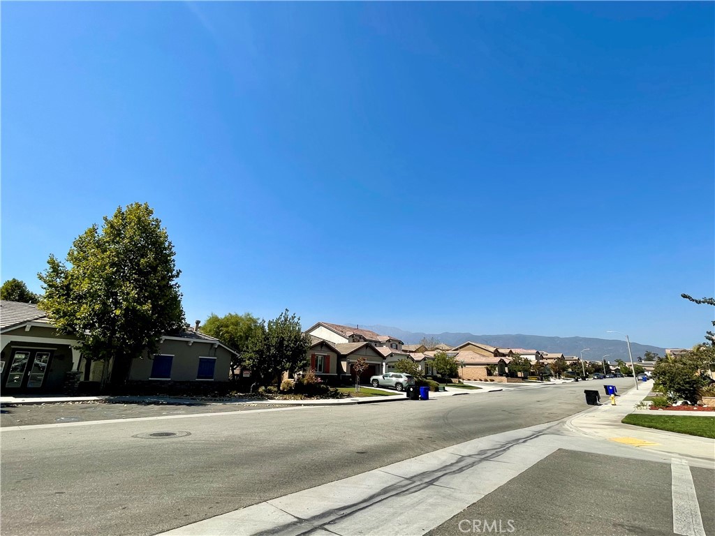 15583 Basil Leaf Lane