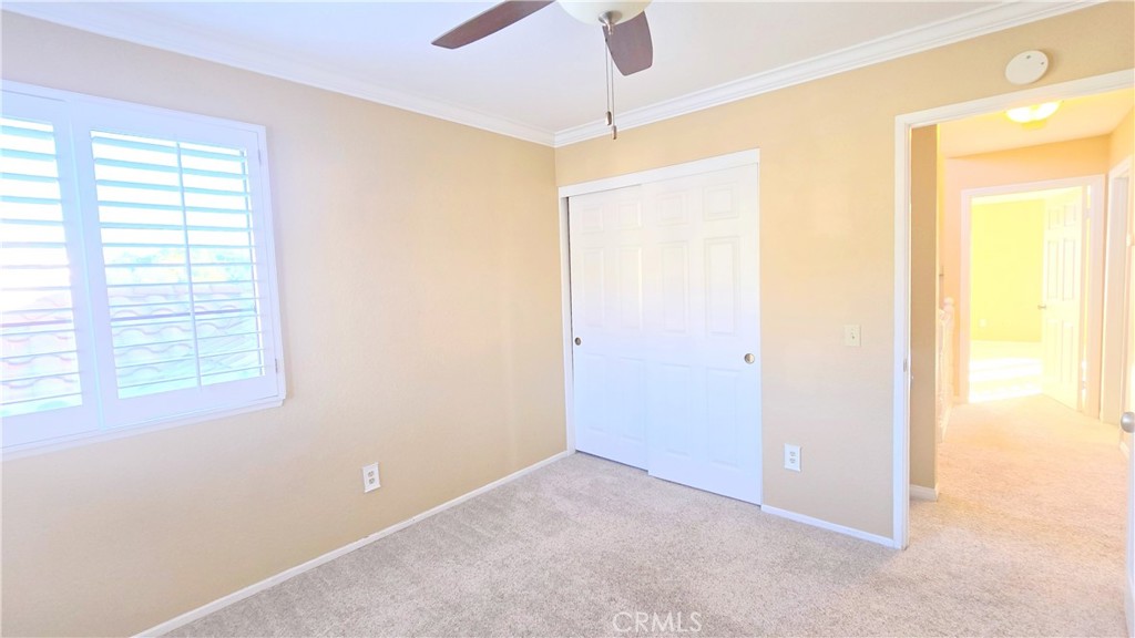 2210 Trickling Creek Drive