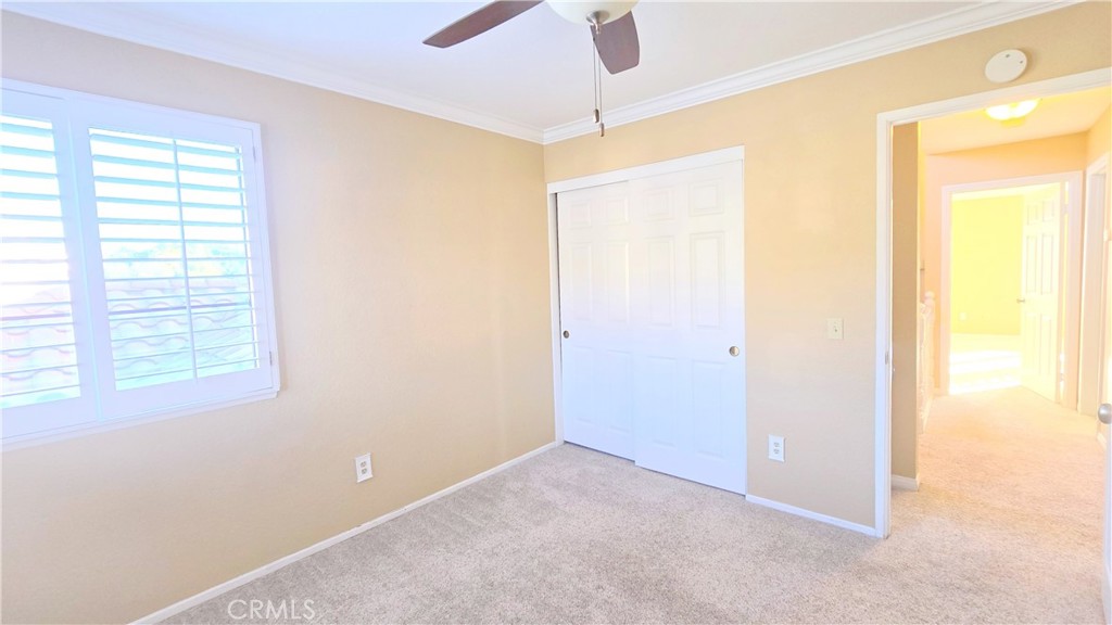 2210 Trickling Creek Drive