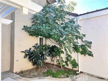 2 Willowgrove
