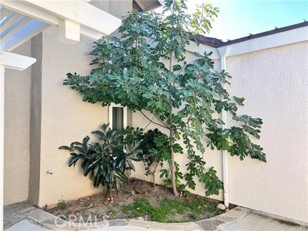 2 Willowgrove