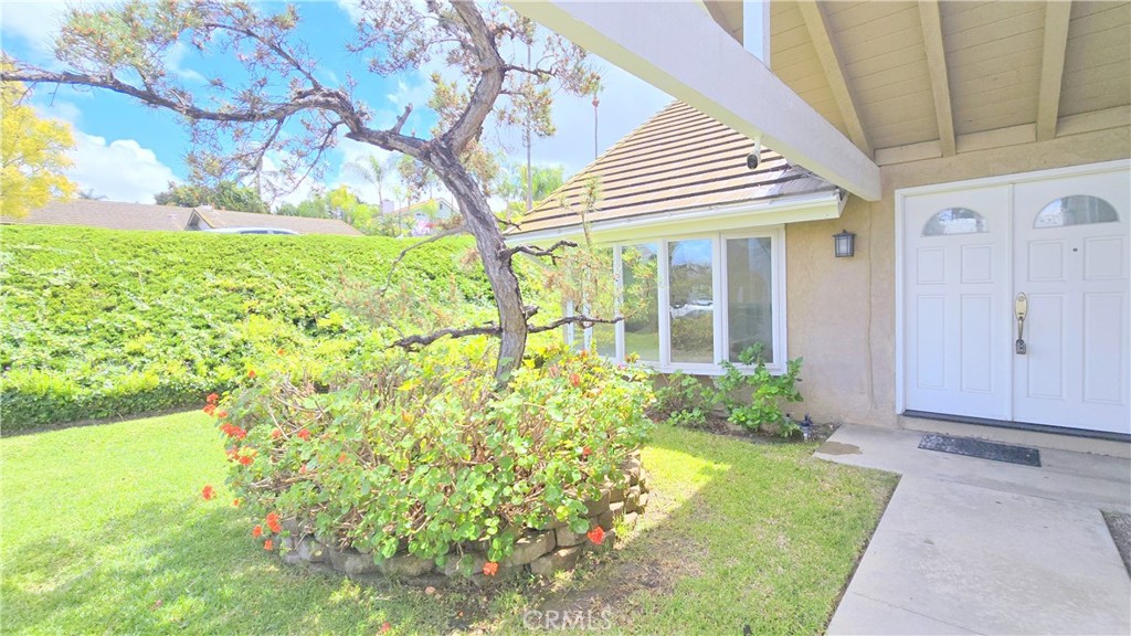 20252 Lake Canyon Drive