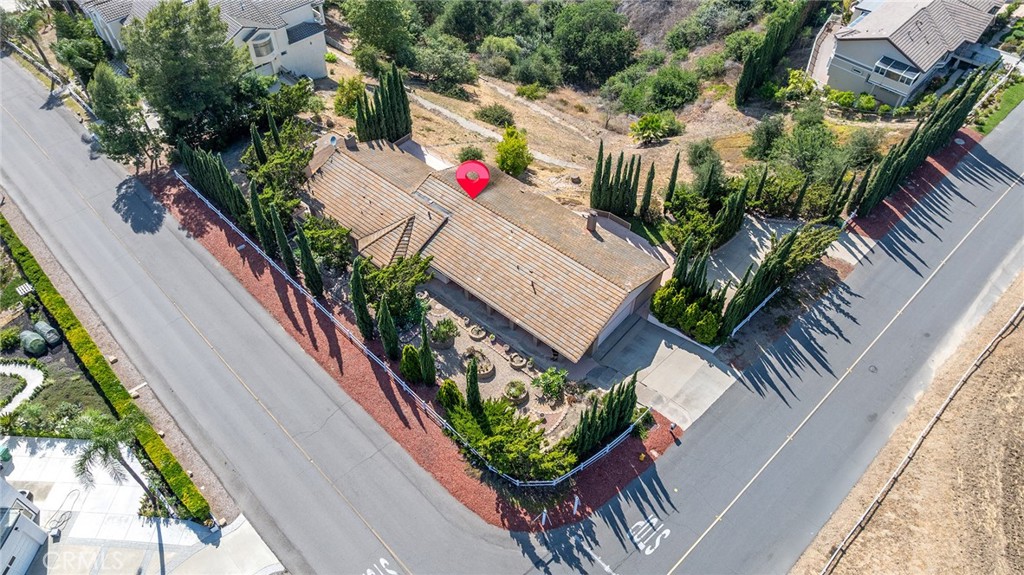 2591 Braided Mane Drive