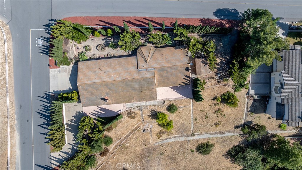 2591 Braided Mane Drive