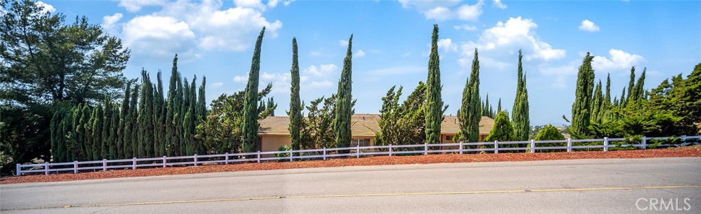 2591 Braided Mane Drive