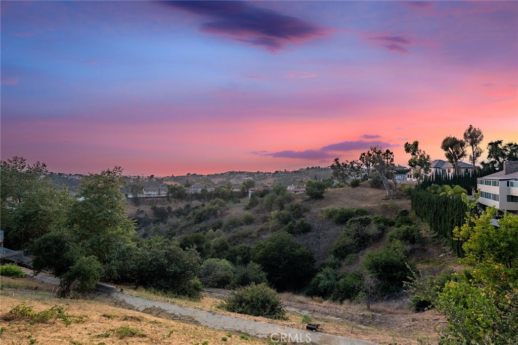 2591 Braided Mane Drive