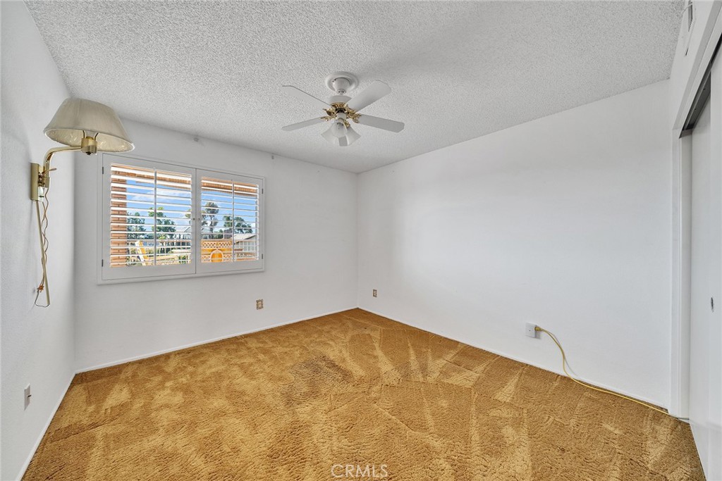 2591 Braided Mane Drive