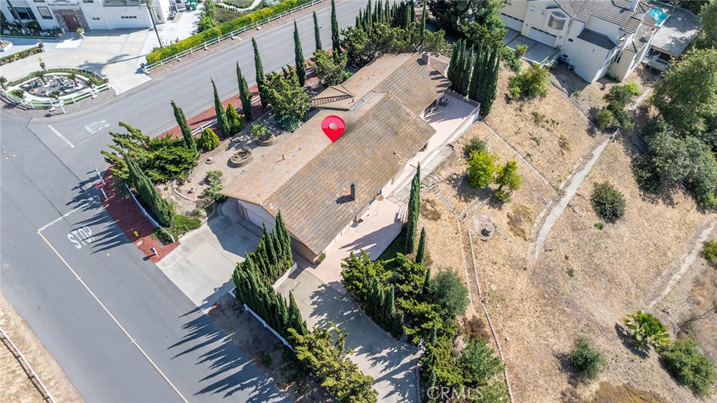 2591 Braided Mane Drive