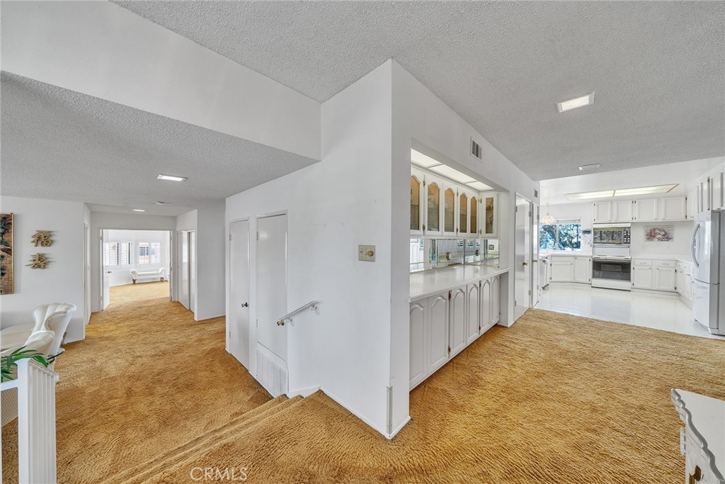 2591 Braided Mane Drive