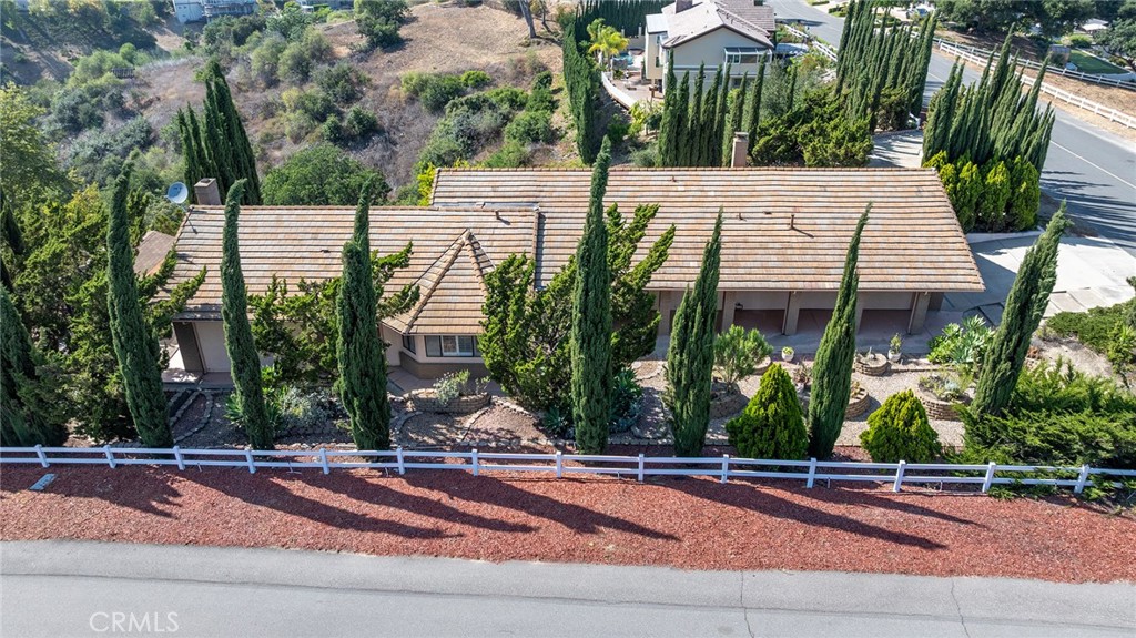 2591 Braided Mane Drive