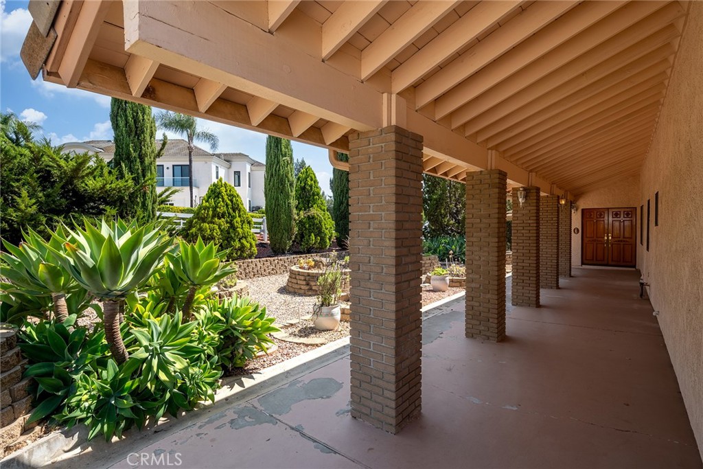 2591 Braided Mane Drive