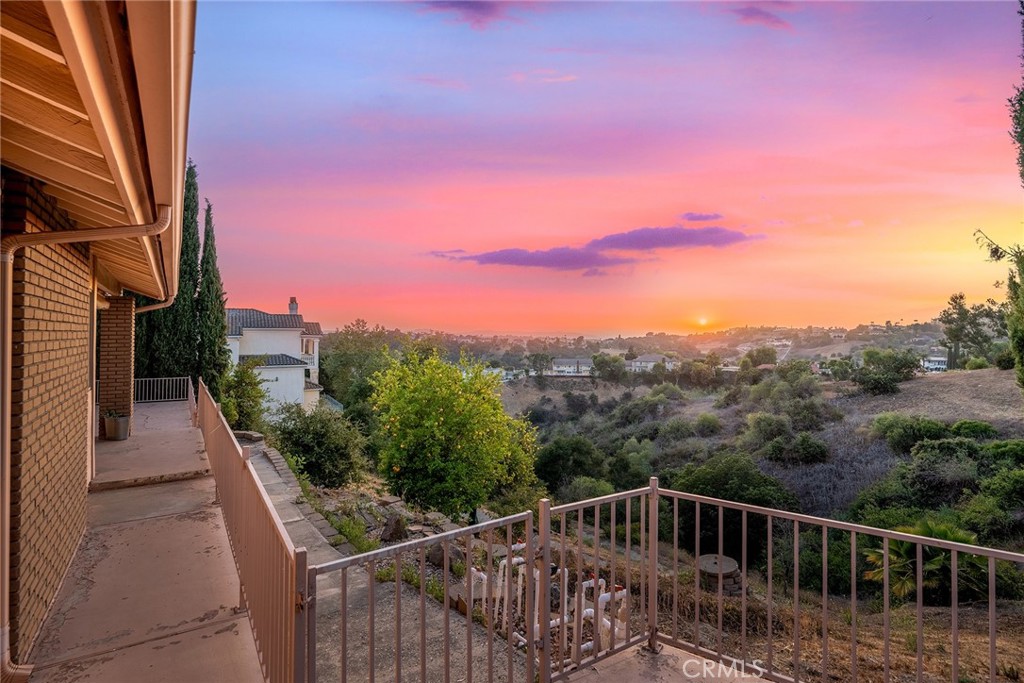 2591 Braided Mane Drive