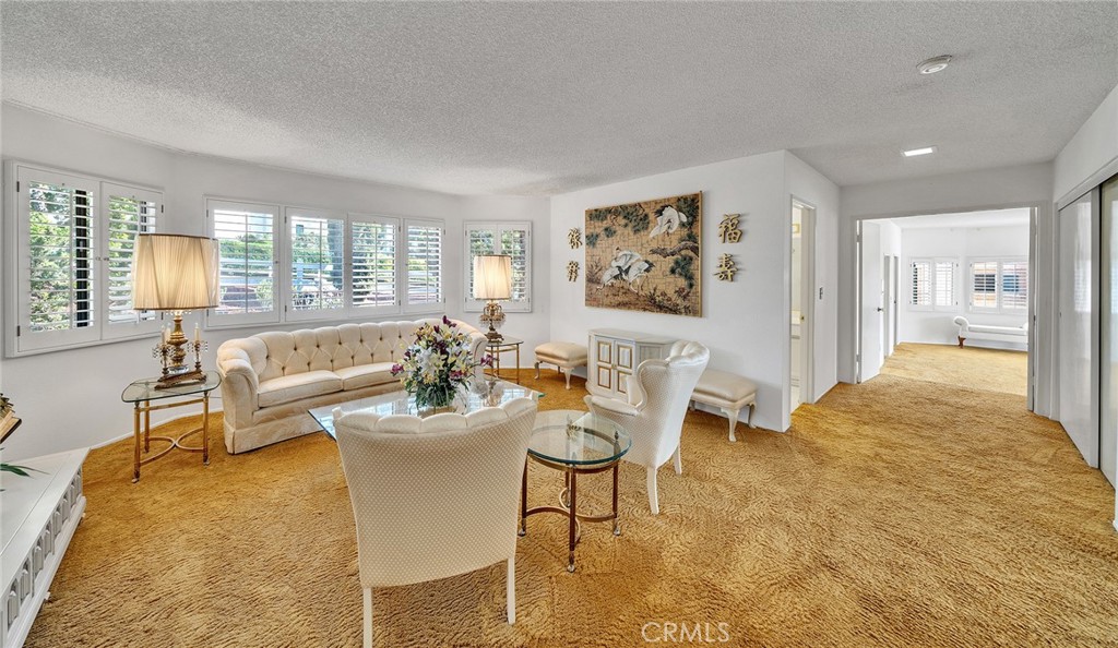 2591 Braided Mane Drive