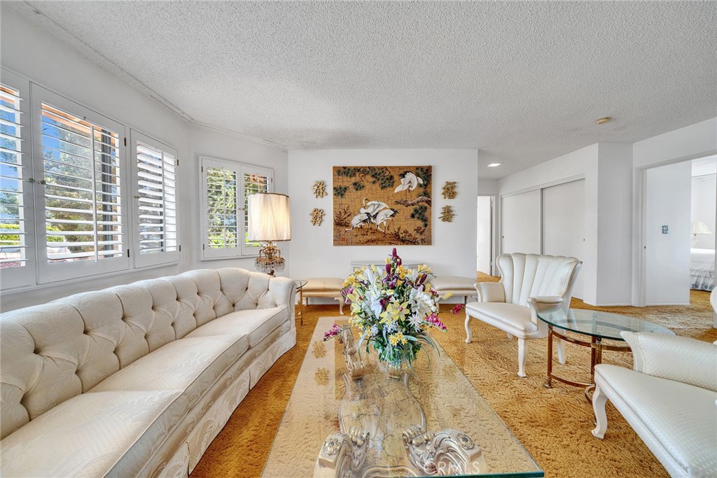 2591 Braided Mane Drive