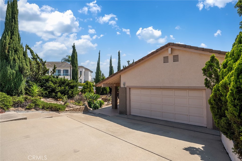 2591 Braided Mane Drive