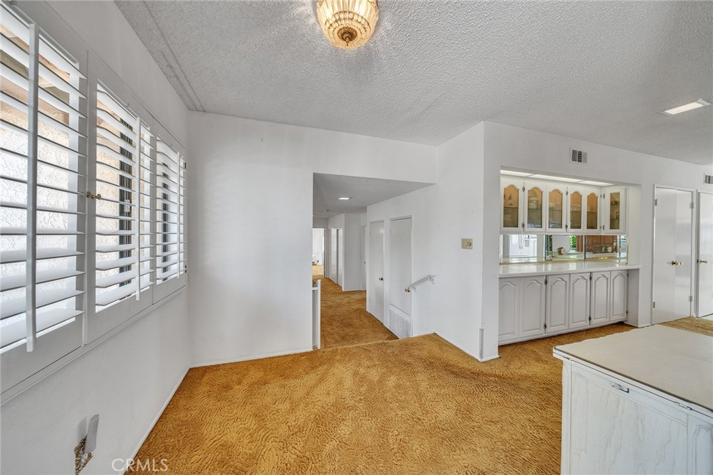 2591 Braided Mane Drive