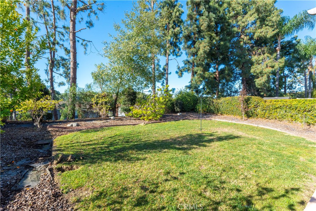 33 Edgebrook Drive
