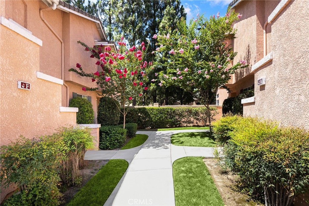 11289 Terra Vista B