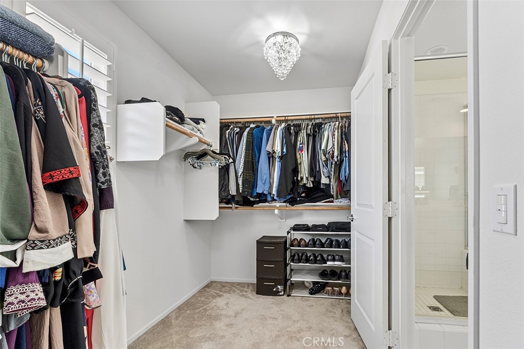 11663 Bluebeard Court