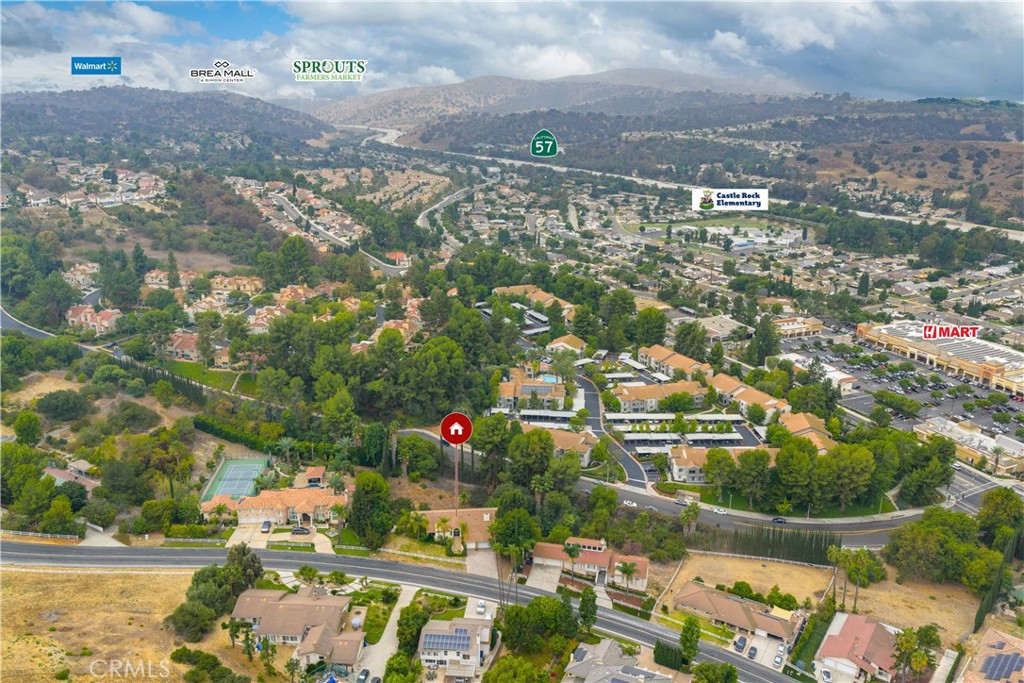 2831 Steeplechase Lane