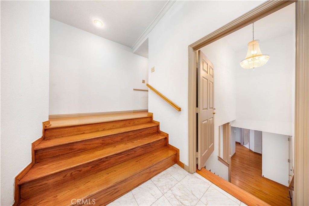 2831 Steeplechase Lane