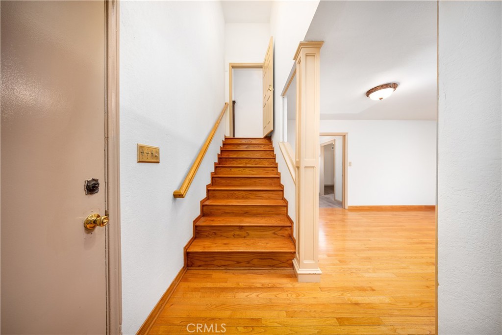 2831 Steeplechase Lane