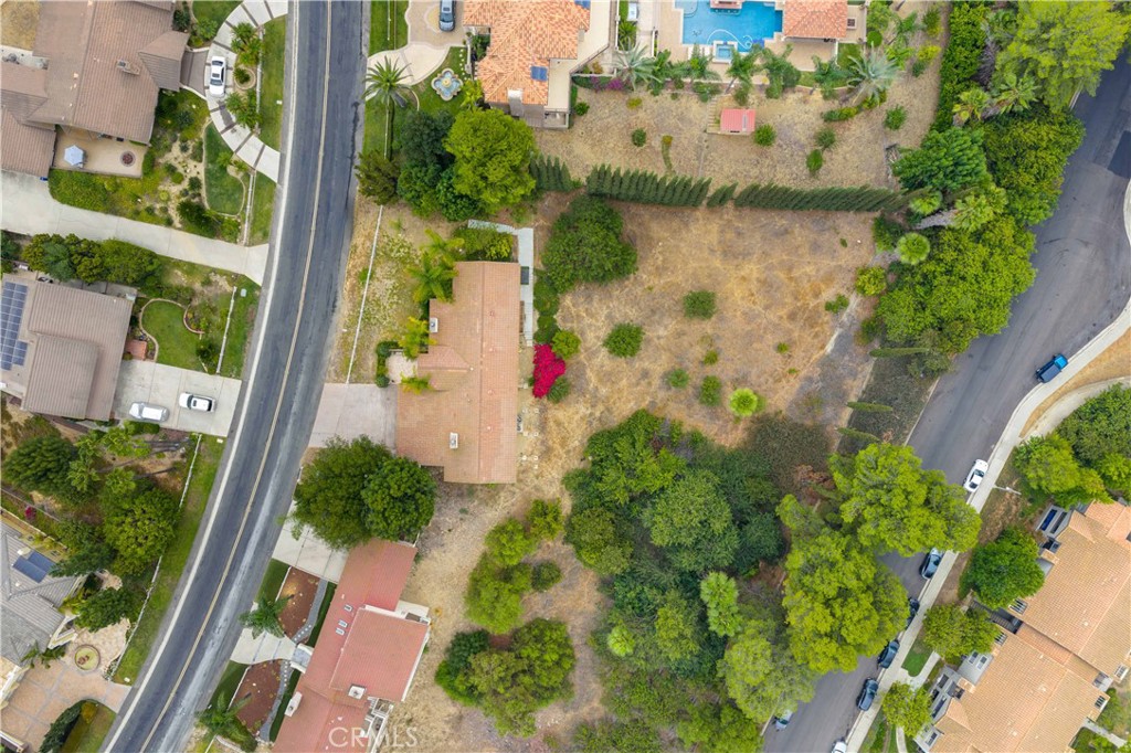 2831 Steeplechase Lane