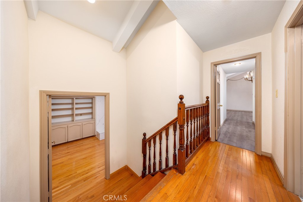 2831 Steeplechase Lane