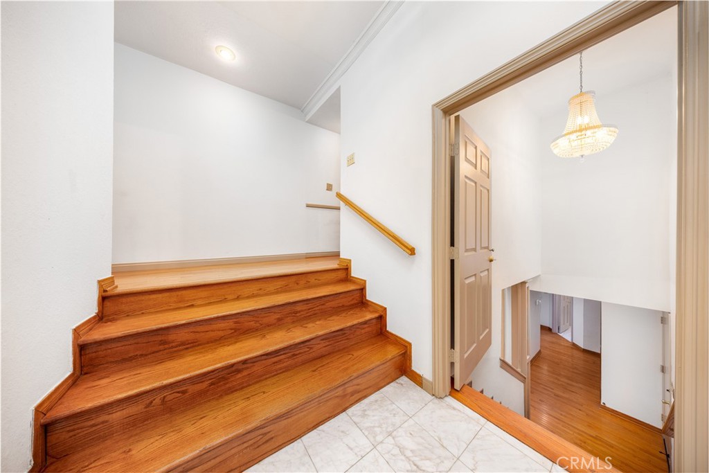 2831 Steeplechase Lane