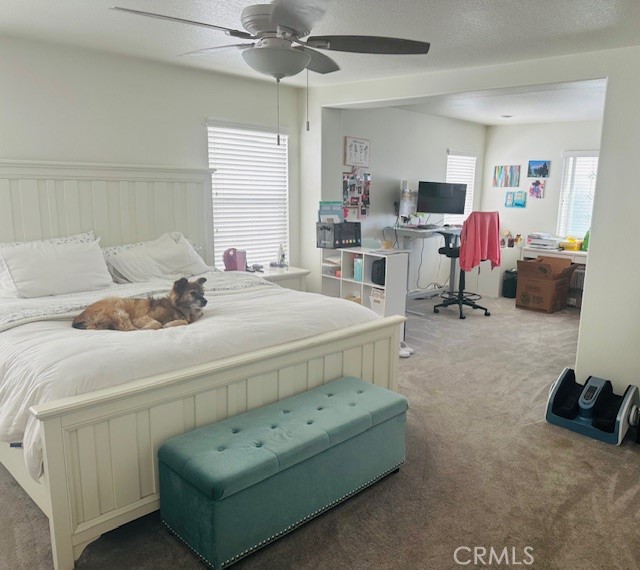 13845 Camp Rock Street