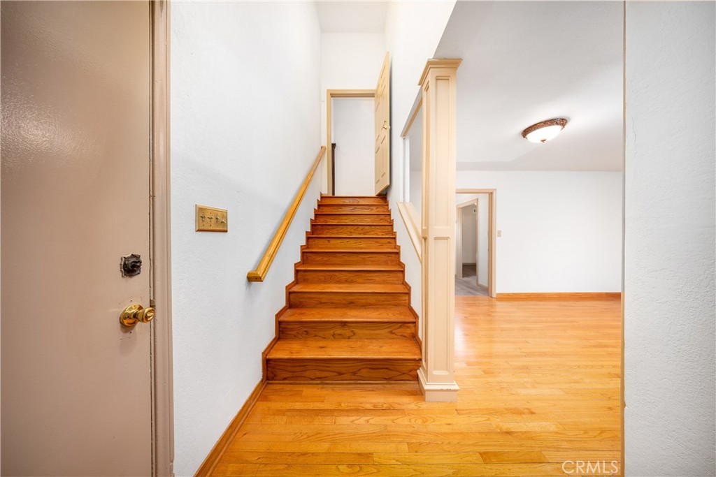 2831 Steeplechase Lane