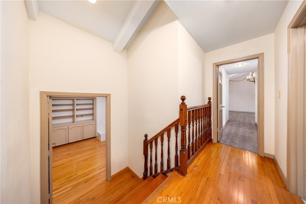 2831 Steeplechase Lane