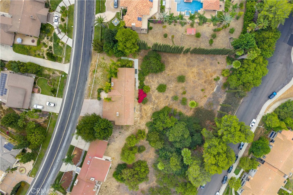 2831 Steeplechase Lane